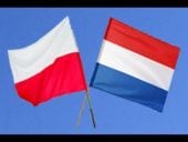 Polacy w Holandii przeciw odbieraniu dzieci.