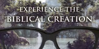 Genesis - Biblical creation in real 3D