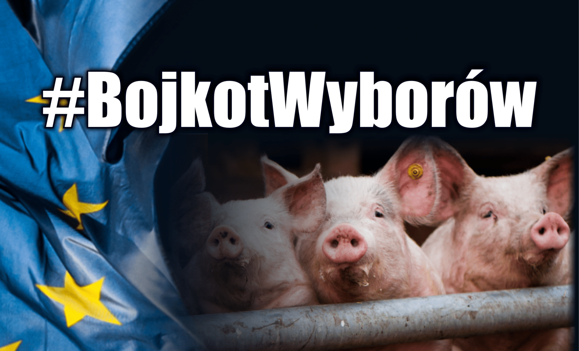 #BojkotWyborów