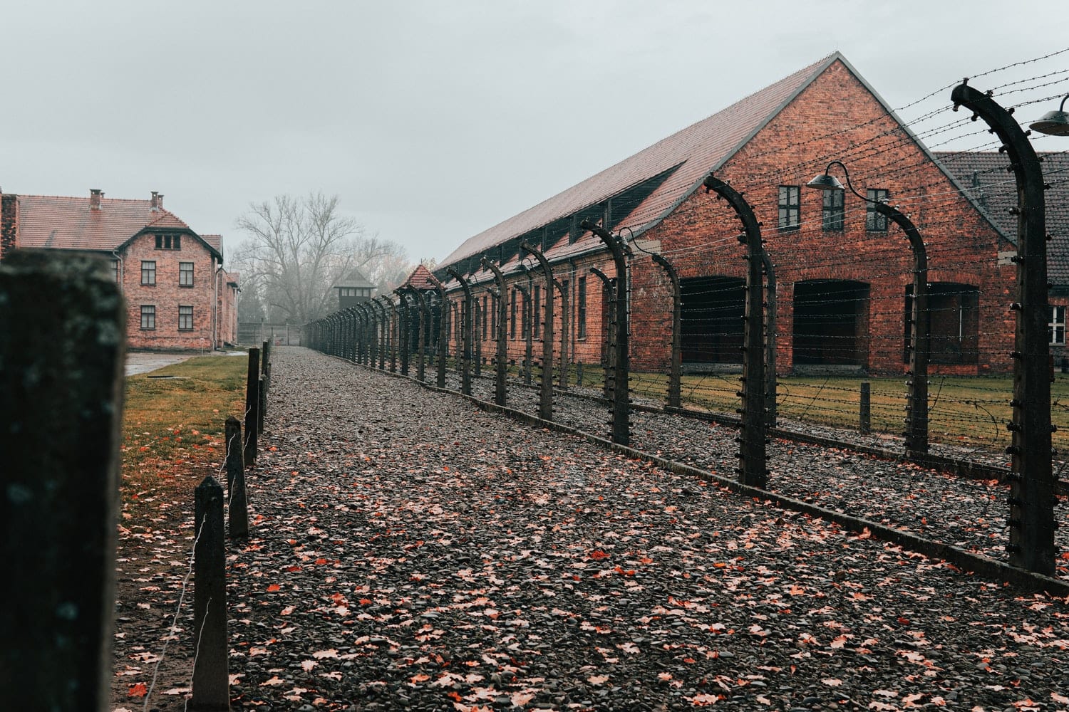 Pracownicy Muzeum Auschwitz porównani do nazistowskiego kapo!